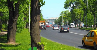 Посадка деревьев и кустарников в Верхнем Уфалее — стоимость от 1228 руб.